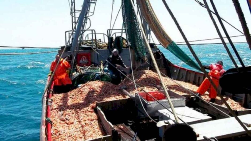reformas-a-la-ley-de-pesca:-un-problema-que-podria-replicarse-en-otras-actividades-regionales