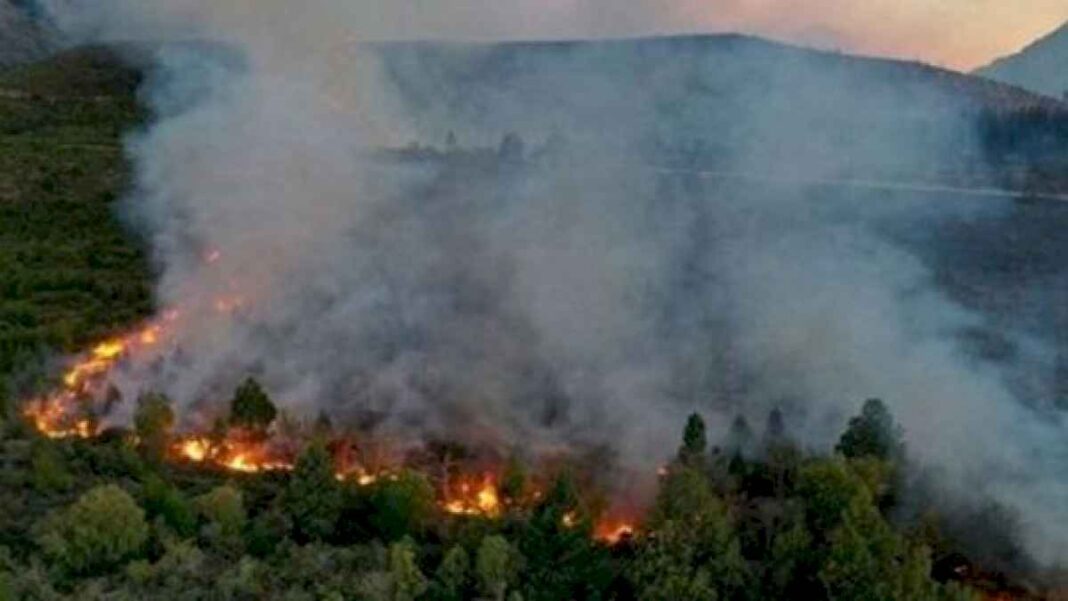 por-el-cambio-climatico,-en-los-proximos-anos-los-incendios-en-la-patagonia-se-multiplicaran-con-creces