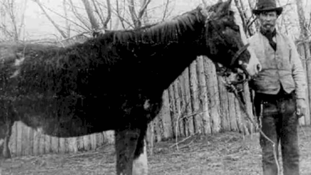 la-atrapante-historia-del-valiente-caballo-malacara,-icono-de-la-historia-de-trevelin