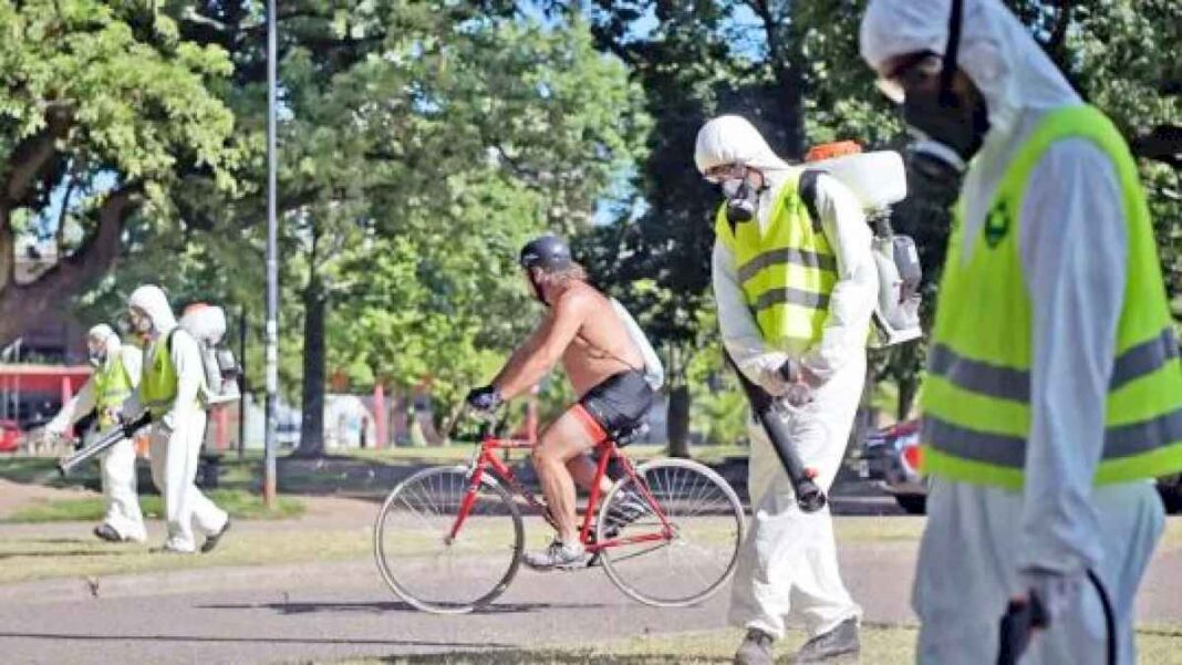 cuando-termina-la-epidemia-del-dengue?-afirman-que-la-cuspide-de-la-curva-todavia-no-llego-y-piden-reforzar-los-cuidados