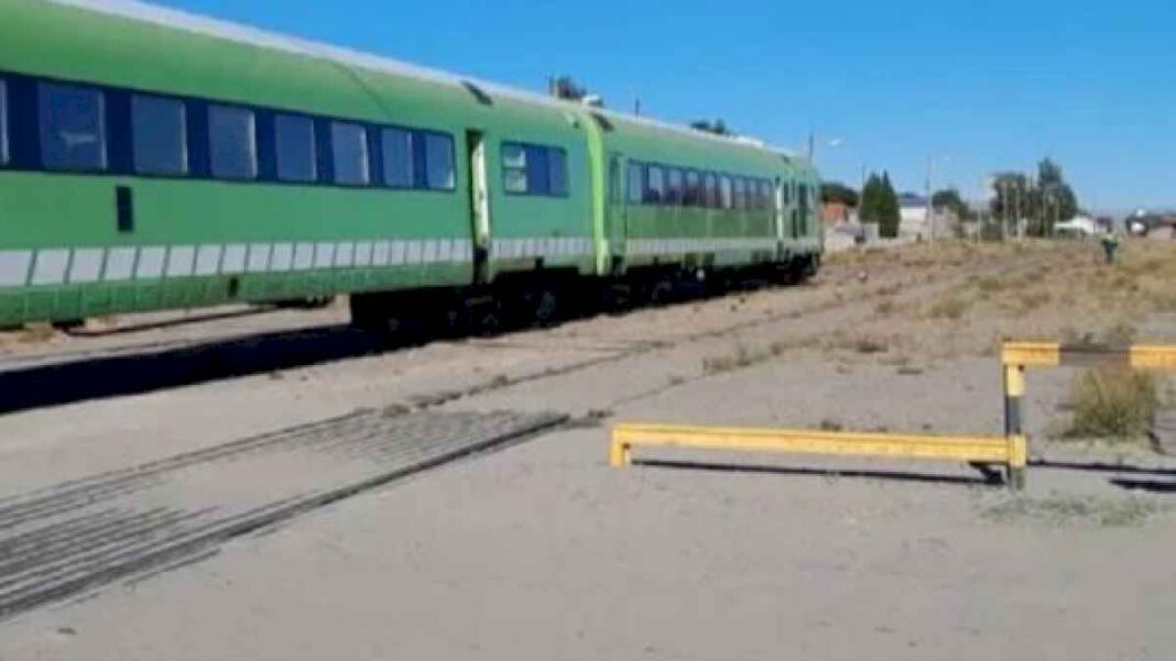 el-tren-patagonico-vuelve-a-funcionar-entre-bariloche-e-ingeniero-jacobacci