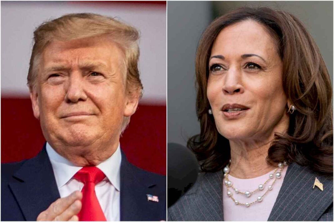 elecciones-en-estados-unidos:-como-estan-donald-trump-y-kamala-harris-en-las-encuestas-a-un-mes-de-los-comicios