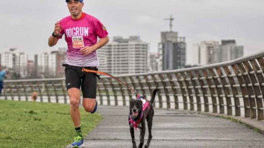 dogrun2024:-una-carrera-para-participar-y-disfrutar-con-nuestros-perros