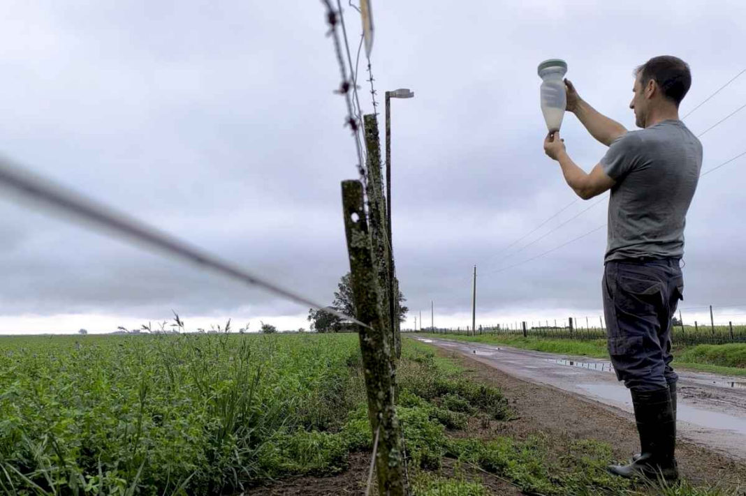 estabamos-desesperados:-llovio-y-se-dio-vuelta-el-partido-del-ano-en-la-principal-region-agricola-del-pais