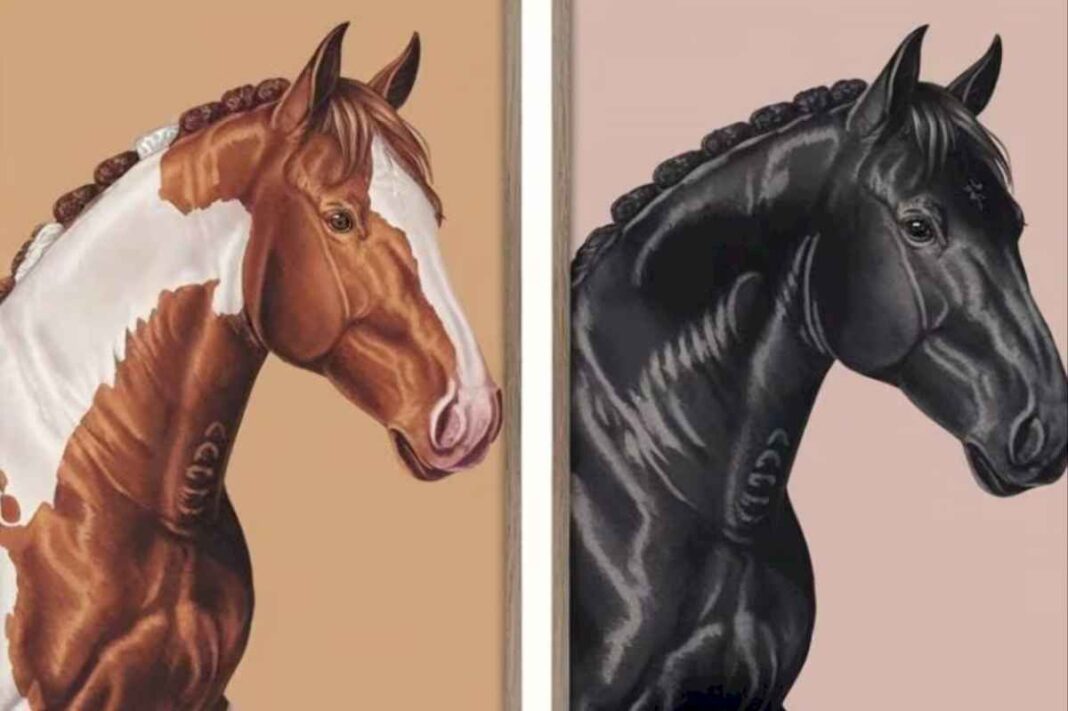 test-de-personalidad:-elegi-uno-de-los-caballos-y-conoce-cual-es-tu-talento-oculto