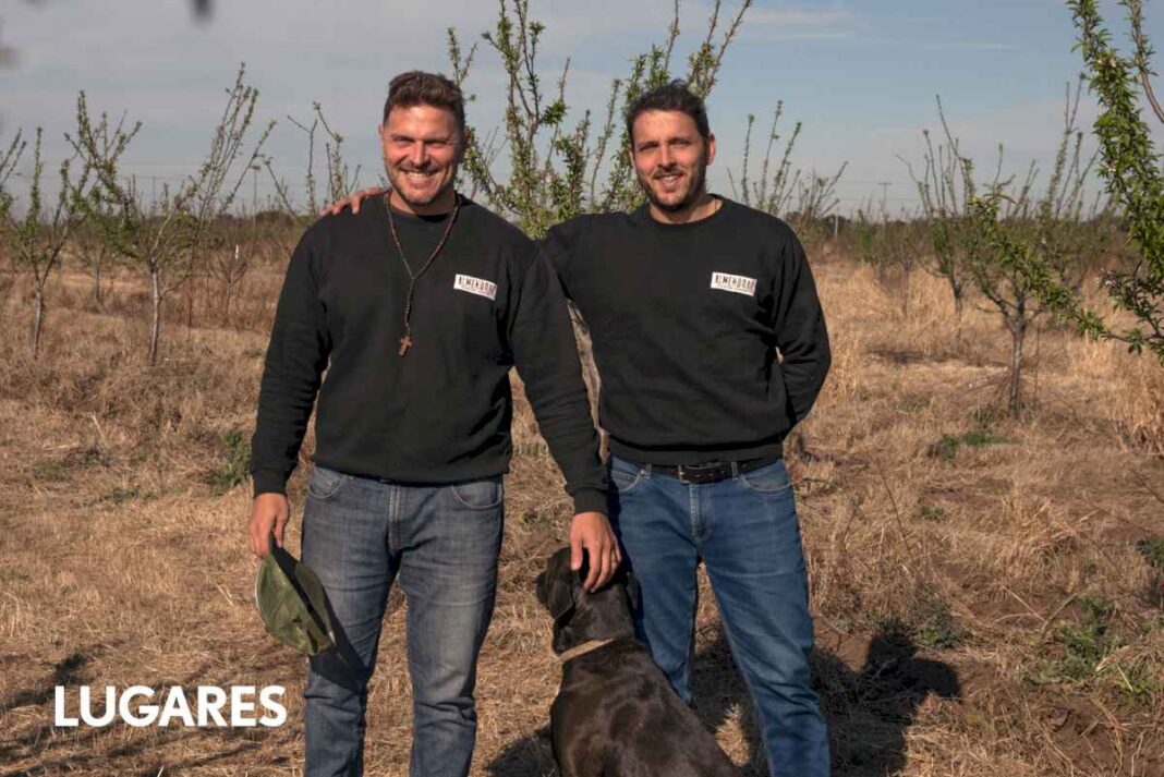 dos-hermanos-se-animaron-a-plantar-almendros-en-un-campo-ganadero-del-norte-cordobes