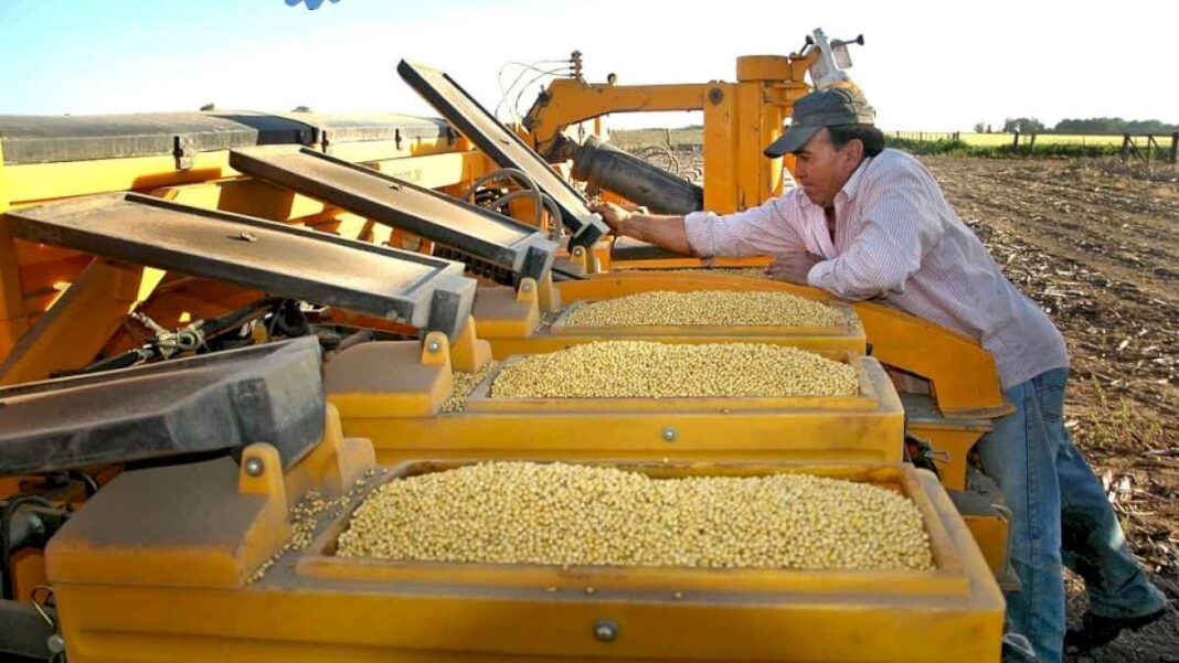 a-partir-de-las-lluvias,-cobra-ritmo-el-mercado-de-insumos-agricolas