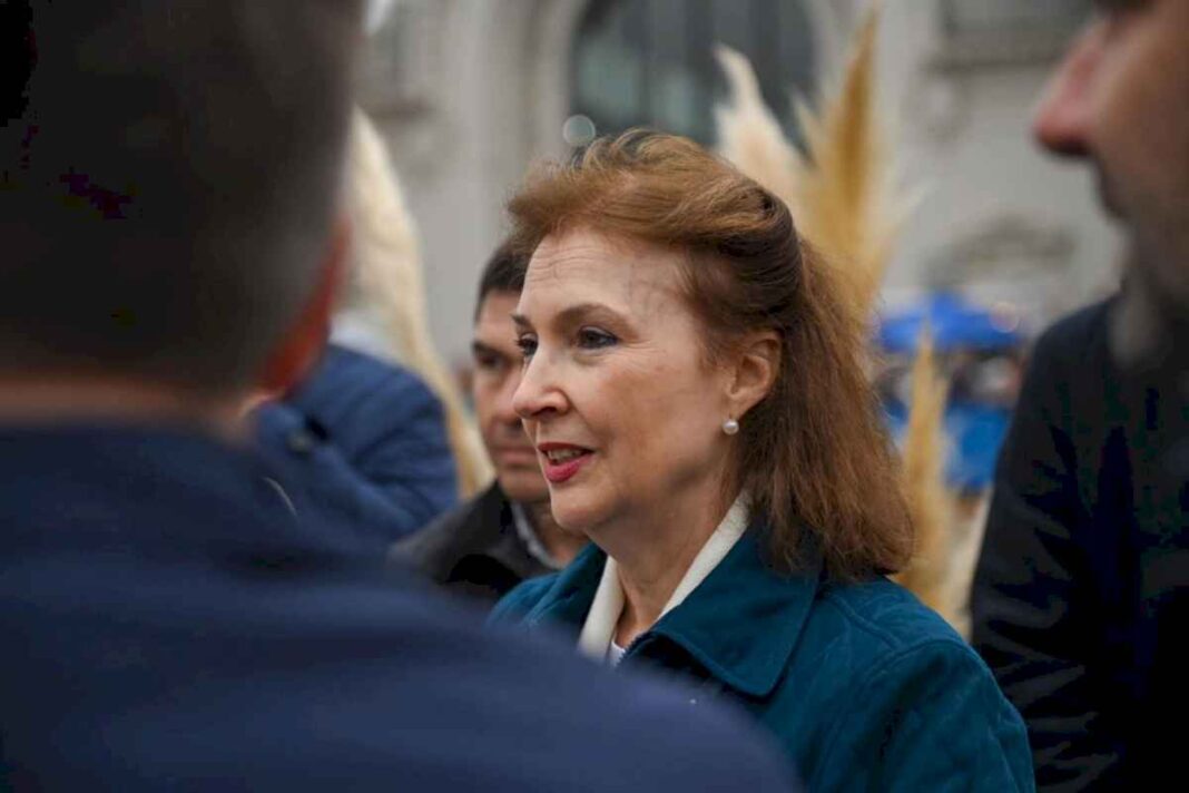 el-gobierno-oficializo-la-renuncia-de-diana-mondino-y-el-nombramiento-de-gerardo-werthein-como-su-reemplazante