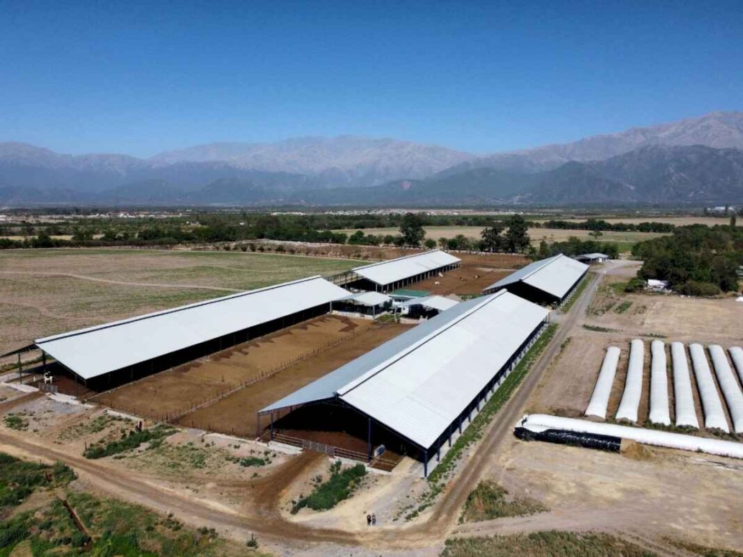 era-inviable.-puso-a-las-vacas-en-galpones-y-con-robots-y-el-cambio-fue-impactante