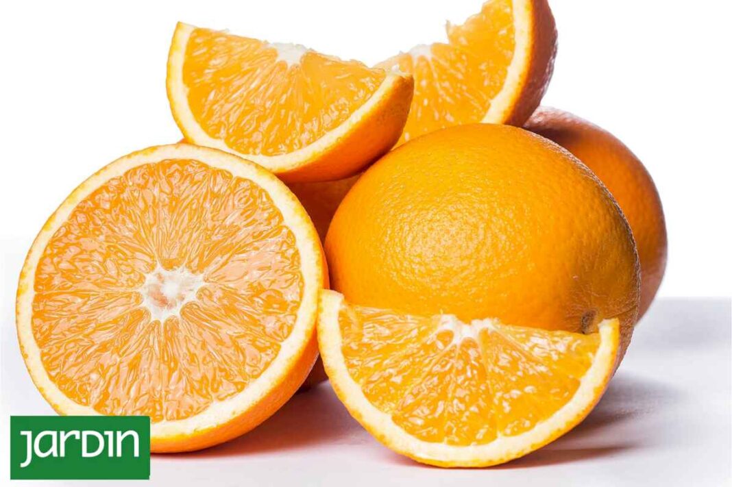 como-fabricar-tu-propio-aromatizante-para-el-hogar-con-naranja-y-menta