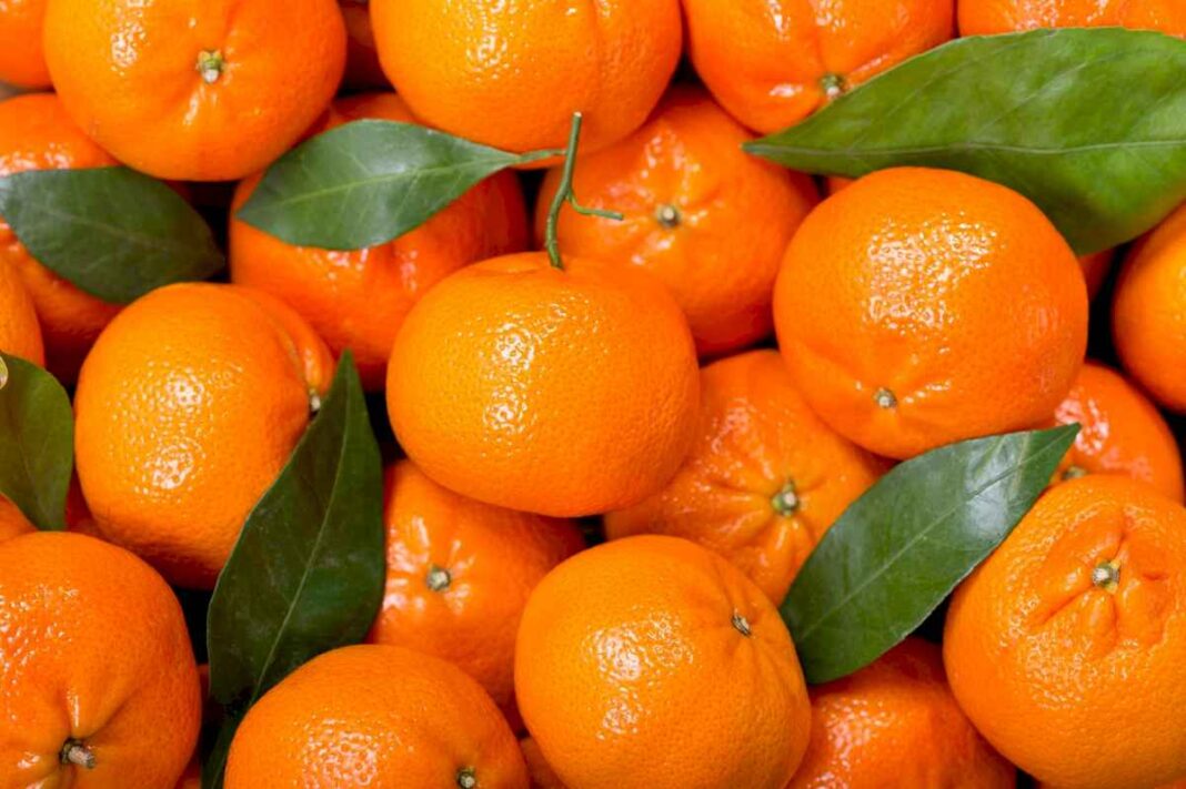 los-beneficios-ocultos-de-la-mandarina:-en-que-momento-del-dia-hay-que-comerla-para-aprovecharla-al-maximo?