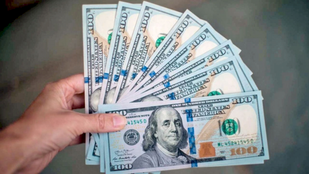 estas-son-las-nuevas-medidas-que-tomo-el-banco-central-para-que-un-grupo-de-empresas-puedan-comprar-dolar-oficial