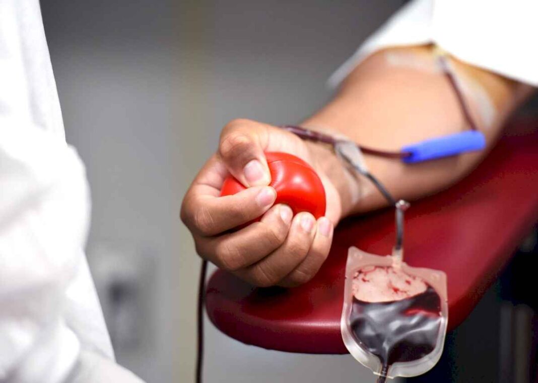 dia-del-donante-voluntario-de-sangre:-por-que-se-celebra-hoy-y-cual-fue-el-descubrimiento-que-dio-origen-a-la-efemeride