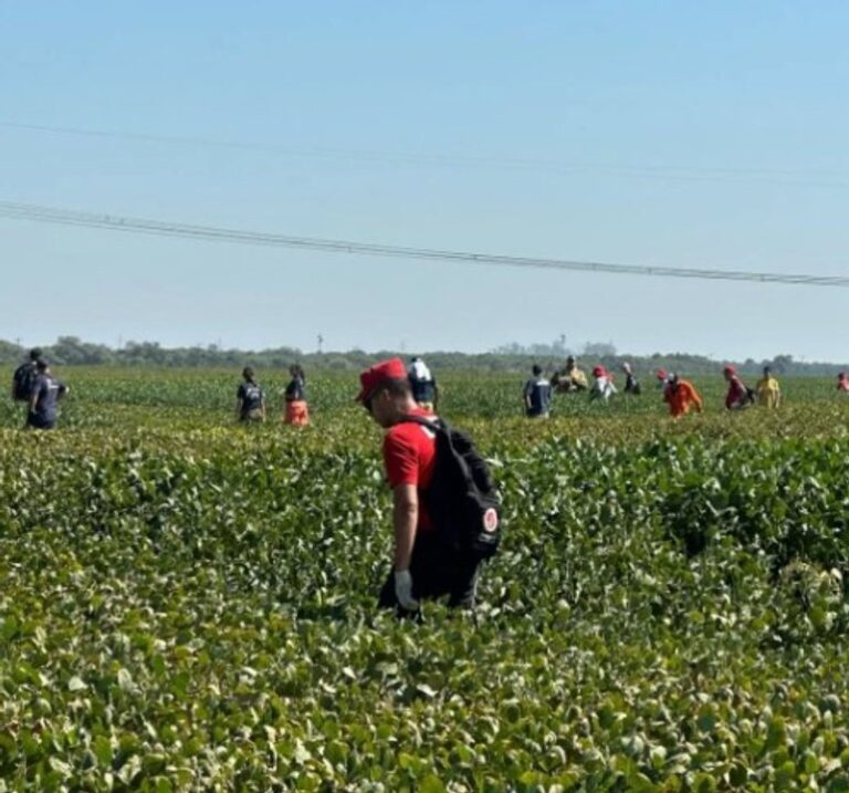 Búsqueda de Liam Flores: allanaron la casa de un hombre y secuestraron celulares