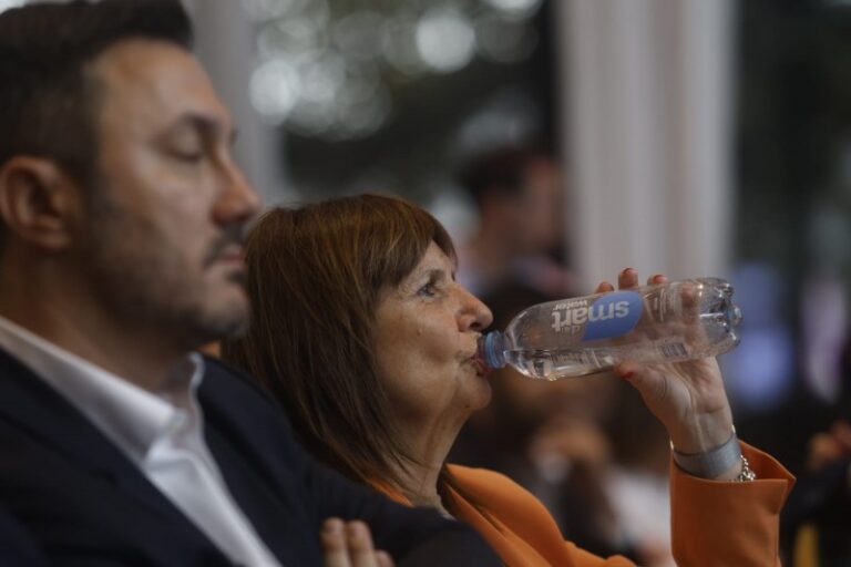 Patricia se puso al frente del armado de los radicales con peluca