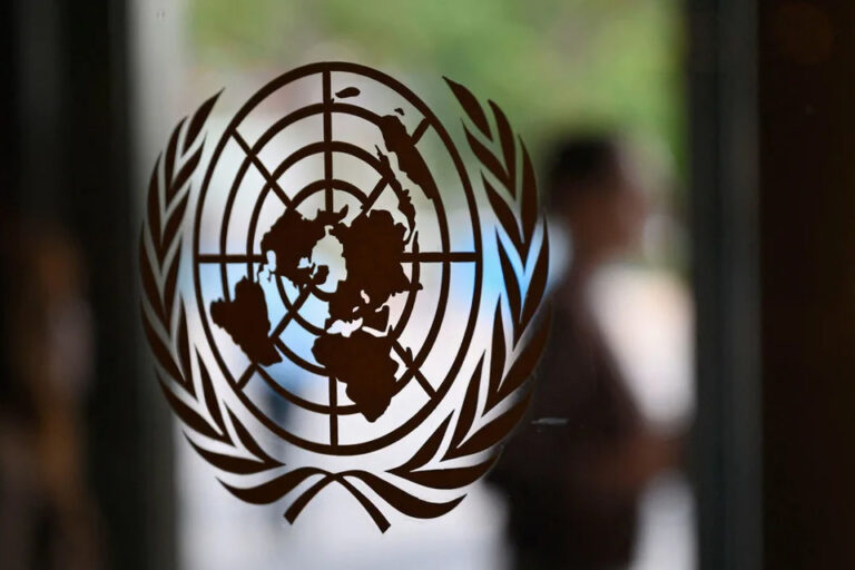 Pese a la postura argentina, la ONU ratificó la agenda de derechos de mujeres y niñas