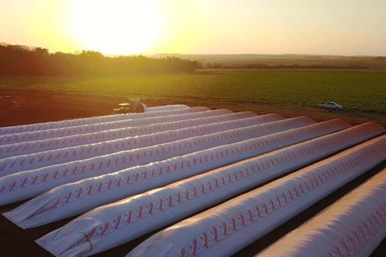 Con este dólar, el campo se sienta sobre la soja