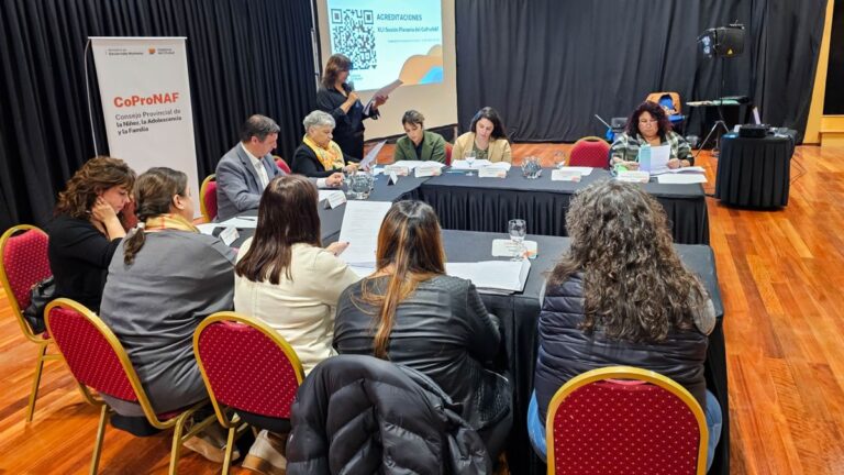 El Consejo de Niñez y Familia sesionó en Comodoro
