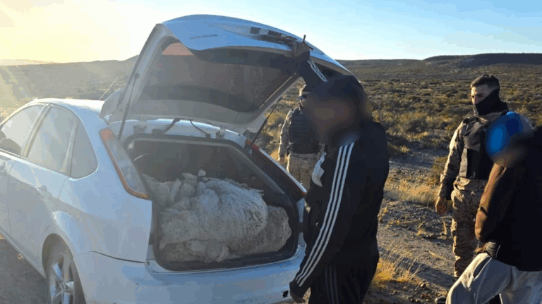 Desarticulan banda que robaba ganado tras intensa persecución