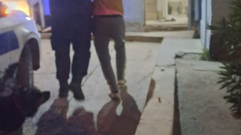 Quiso robar en un auto y lo detuvieron los vecinos