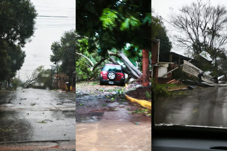 Las imágenes del severo temporal que arrasó en Misiones: destrozos y anegaciones