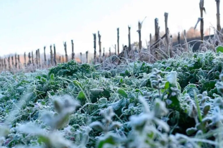 Otra mañana helada en Córdoba: los lugares que amanecieron con más frío