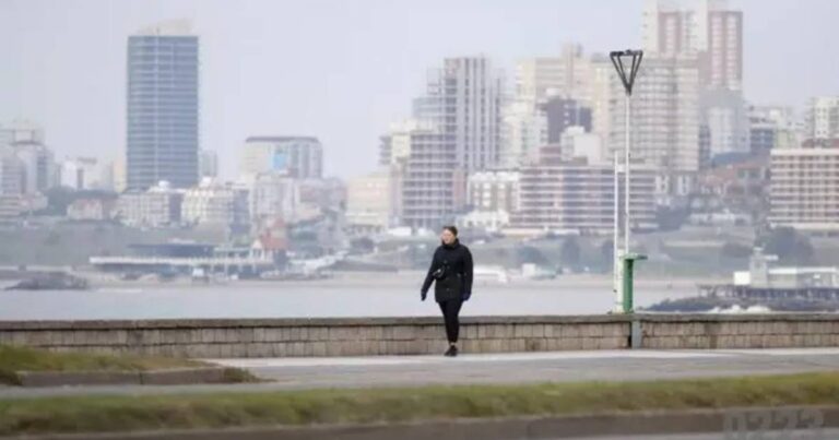 Mar del Plata. Ola polar y show de la crueldad