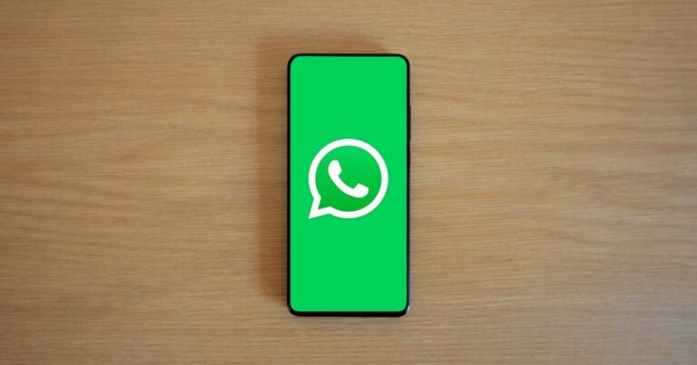 WhatsApp: activá la foto del contacto en las notificaciones del celular