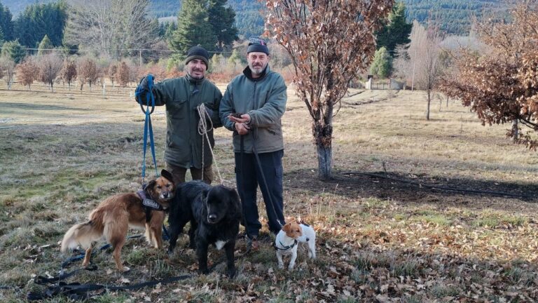 Trufas gourmet cosechadas por perros en El Bolsón: un producto único que sólo se cultiva en 3 países