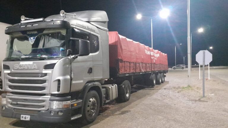 Incautaron un camión con 300 bolsas de papas en el Módulo Norte de Comodoro