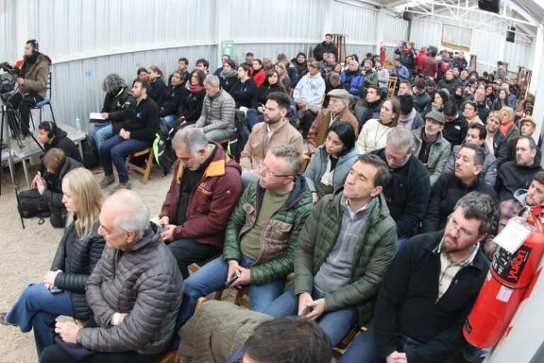 Proyecto San Jorge en Uspallata: dos audiencias, una oficial y otra pública vecinal