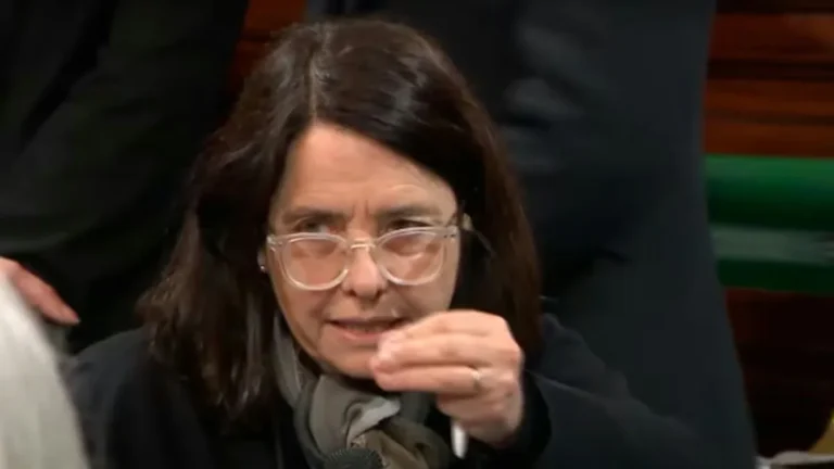 Polémicas declaraciones de la senadora del PRO Carmen Álvarez Rivero: «No creo que los niños argentinos tengan derecho a venir al Garrahan»