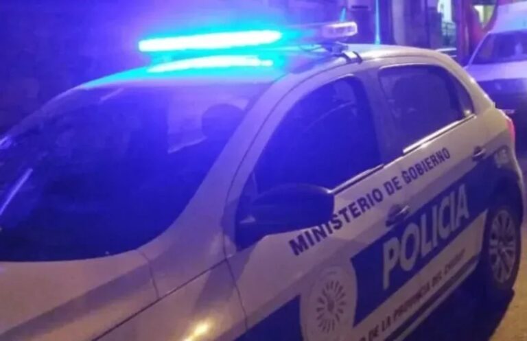 Pararon para comprar en una rotisería y cuando regresaron encontraron a un ladrón en el auto