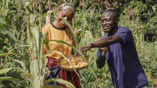 Argentina apunta a desarrollar producción agropecuaria en África