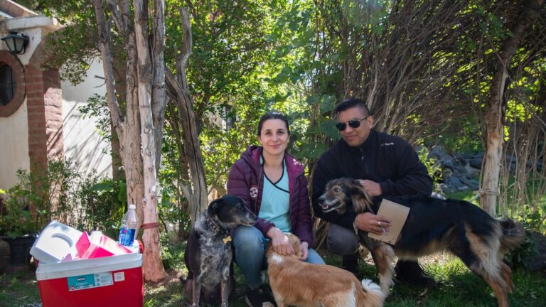 Jornada de vacunación antirrábica a domicilio en Rada Tilly