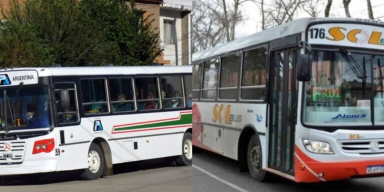 Expectativa total en Comodoro: Macharashvili abrirá las ofertas que decidirán el futuro del transporte público