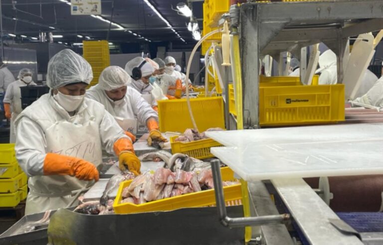 Acusaciones cruzadas, denuncias de espionaje y tensión diplomática: las claves del conflicto por la ex Alpesca