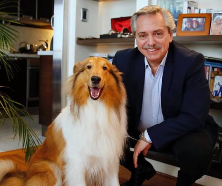 Duro golpe para Alberto Fernández: murió su perro Dylan