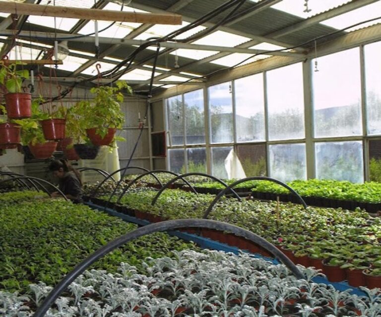 Bomberos combaten un incendio con llamas de 2 metros en un vivero detrás de un supermercado en Rada Tilly