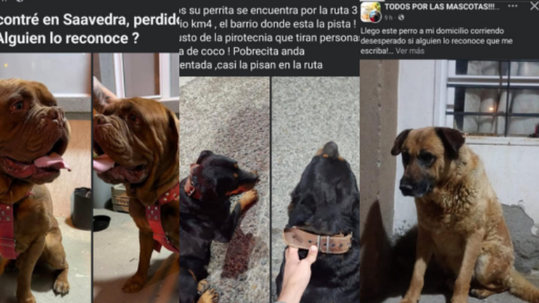 Se movilizan el lunes contra la pirotecnia con estruendo