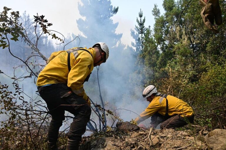 Más de 500 personas y 8 medios aéreos combaten el fuego en Puerto Patriada