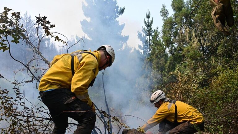 Hallaron combustible donde se inició el fuego
