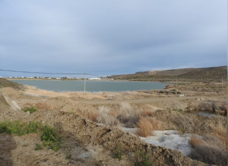 El Municipio de Rada Tilly confirmó la causa del mal olor y aseguró que responde a procesos biológicos naturales»