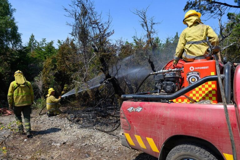 Un nuevo incendio ya consumió 180 hectáreas en Cholila: cómo se originó el fuego y por qué se propagó rápidamente