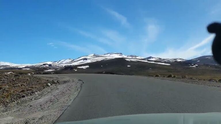 Turistas chilenos atropellaron, mataron a un caballo y escaparon en una ruta patagónica