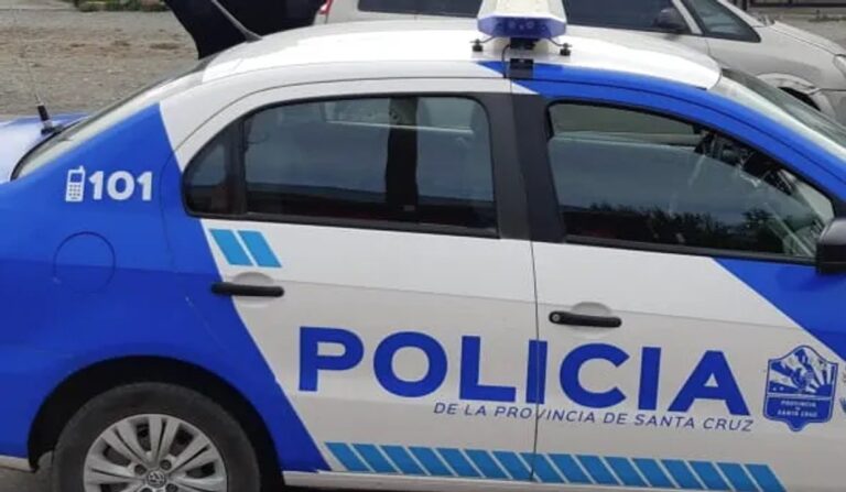 Decomisaron corderos en mal estado durante un control en Santa Cruz y el conductor dio positivo en alcoholemia