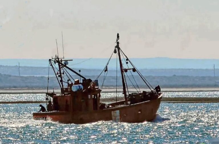 Alerta en la costa patagónica: se hundió un buque pesquero y buscan intensamente a un marinero desaparecido