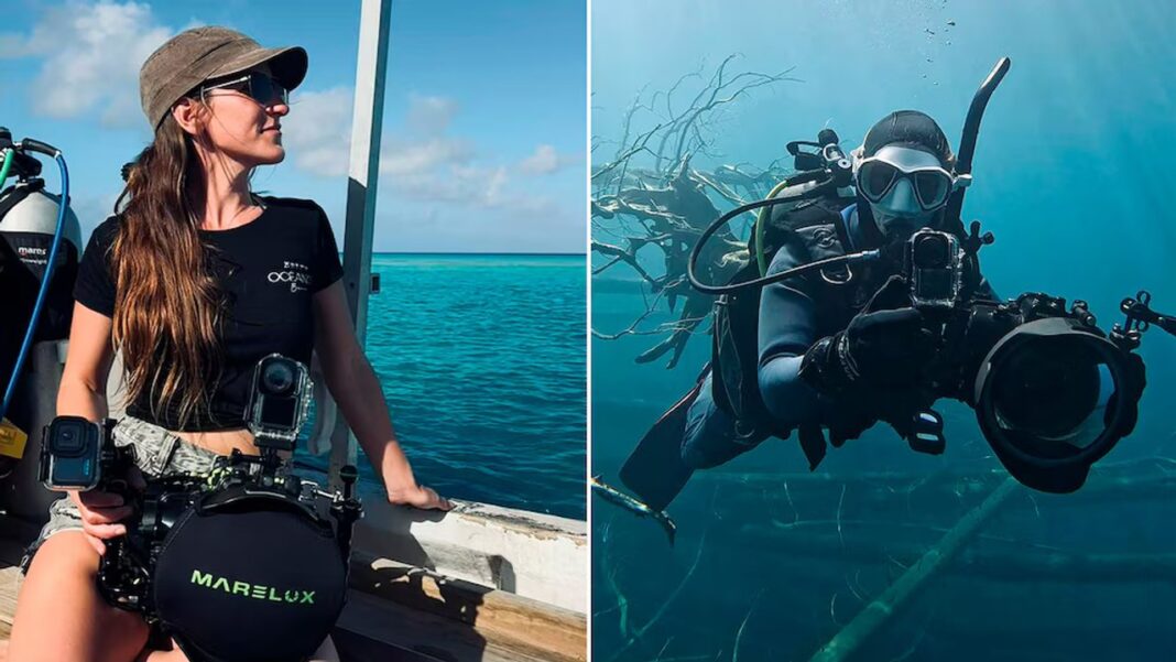 Fotografía submarina del bosque sumergido en el lago Traful, mostrando troncos de árboles erguidos bajo el agua cristalina.