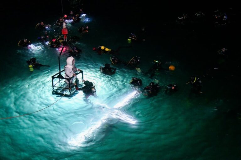 Turistas visitando Península Valdés durante el fin de semana largo de Semana Santa en Chubut.