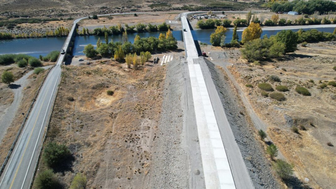 Ruta Nacional 40 en la zona de La Rinconada, paisaje típico de la región con presencia de fauna.
